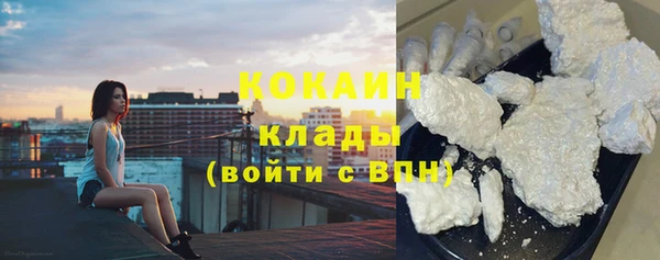 дживик Алзамай