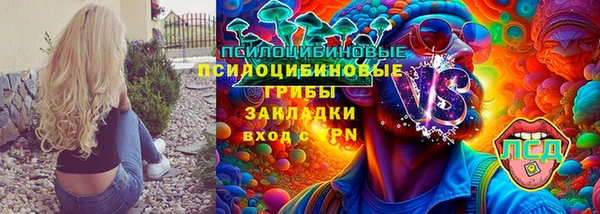 дживик Алзамай