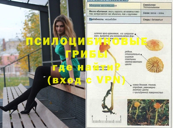 дживик Алзамай