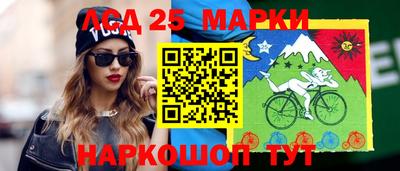 стафф Донецк