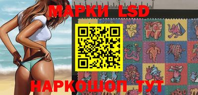 стафф Донецк