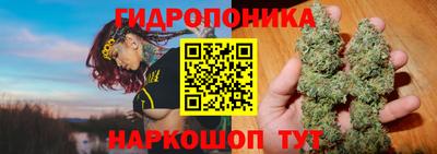 крисы Донской